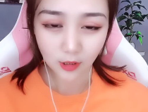 网络吗小姐姐,揭秘虚拟世界的魅力与挑战