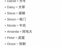 英文笑话谐音梗,趣味横生的语言游戏解析