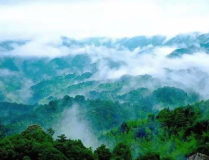 这山望着那山高打一成语,解析成语背后的意志坚定与选择变迁”