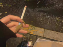 故意让对方看了心疼的句子,揭秘故意让人心疼的情感表达艺术