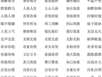 成语大全600个成语,600个成语智慧结晶概览