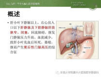消化系统疾病分类,消化系统疾病分类与常见病症概述